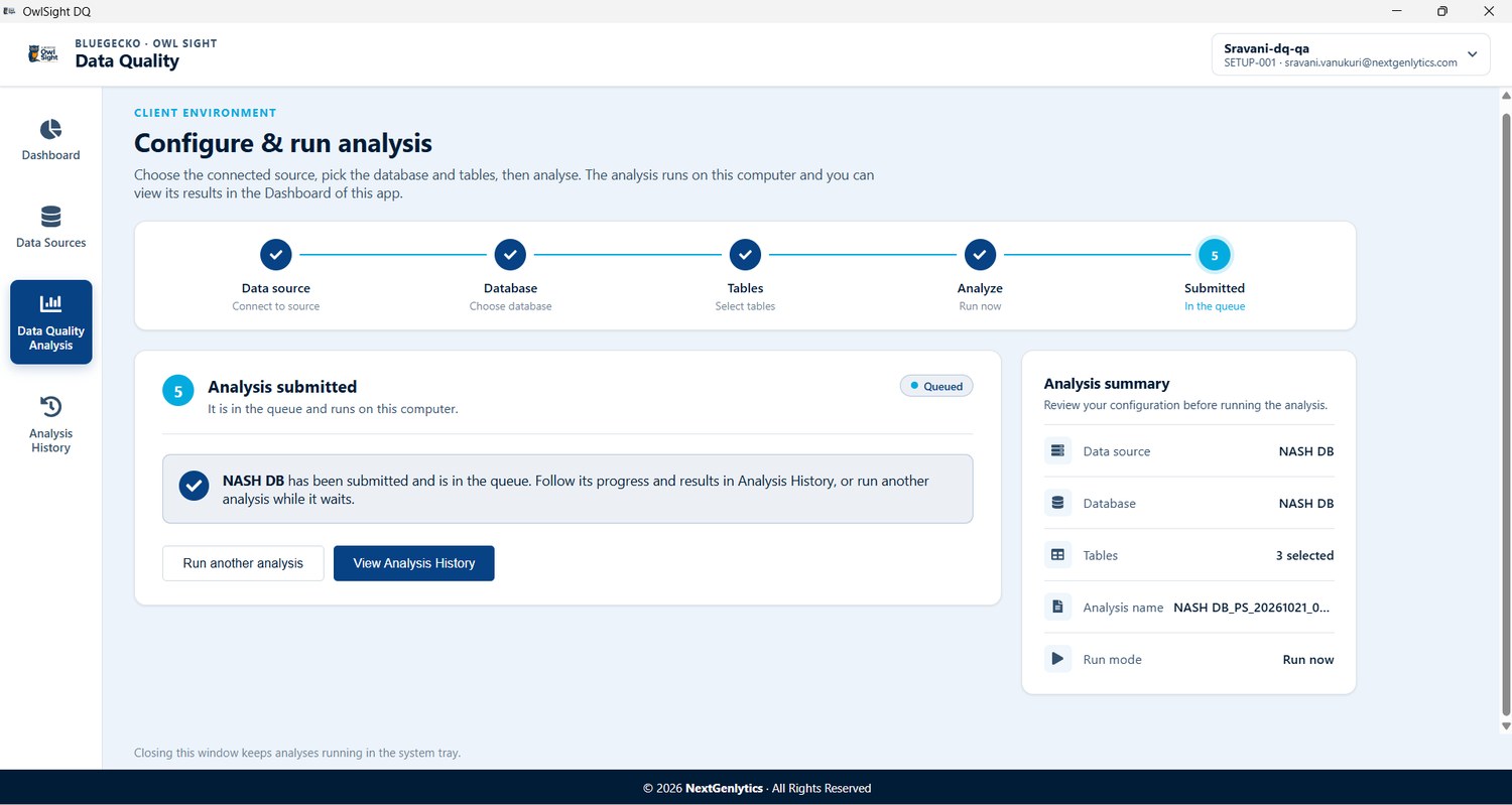 Owl Sight Desktop Application and Client Environment Workflow